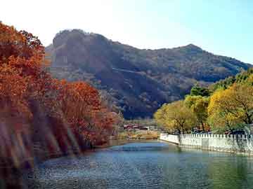 管家婆免费正版资起大全，快餐桌图片